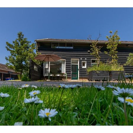 Apartment With Mini Campsite And Playground Vrouwenpolder Exteriér fotografie